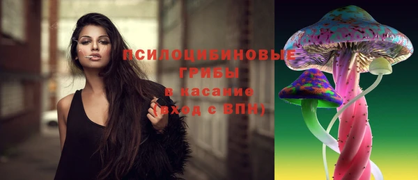 меф Алексин