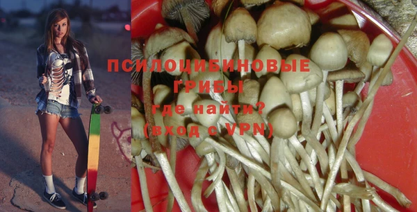 ALPHA PVP Надым