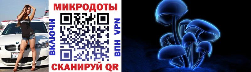 Псилоцибиновые грибы GOLDEN TEACHER  OMG онион  Абаза  как найти наркотики 