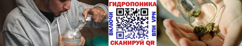МАРИХУАНА индика Абаза